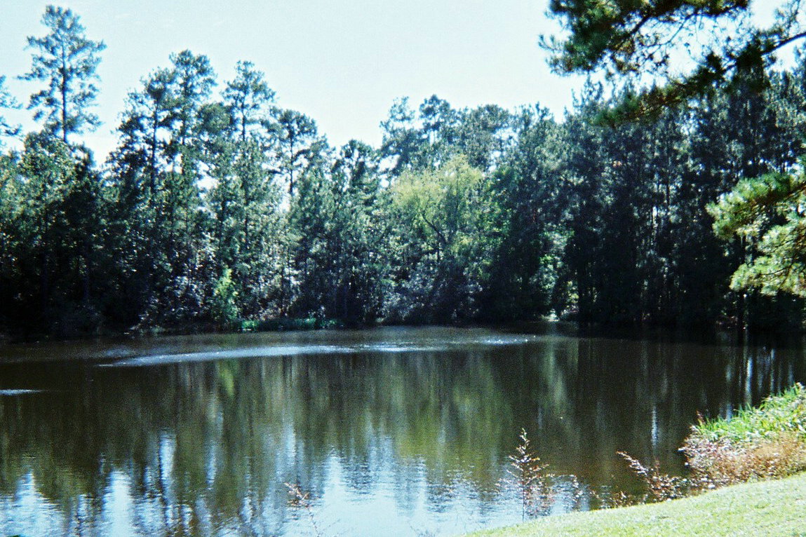 The Lake